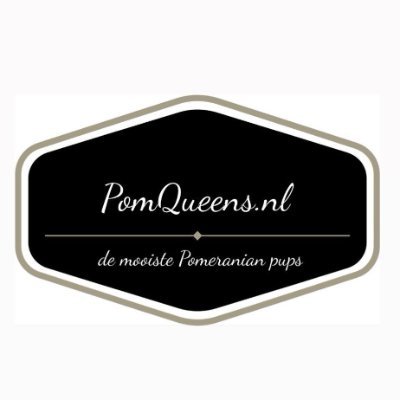 Welkom bij PomQueens. De plek voor jouw mooiste pup. Wij werken met de beste fokkers samen om jou de liefste pomeriaan aan te bieden, voorzien van stamboom.