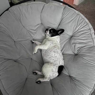 maddie_c06's profile picture. 