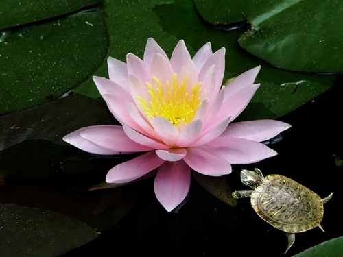 takx2's profile picture. フリーライター。ゲーム中心に何でもやらせて頂いてます。相も変わらぬ自転車操業です。