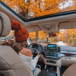 quinn33271's profile picture. 