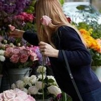 _epiphany_ (@epiphan73486574) 's Twitter Profile