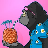 gorilamuyloco (@gorilamuyloco) 's Twitter Profile