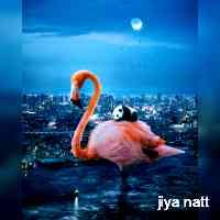 nattjiyya's profile picture. 25y | investor | 🌐 web3 marketing | community builder | only good vibes here 😎