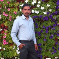 nadeem noor (@noorn0077) 's Twitter Profile Photo