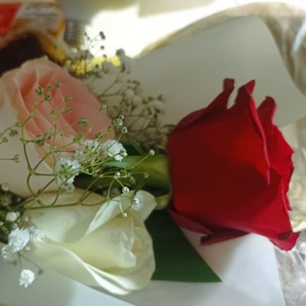 AmunMahmd's profile picture. 