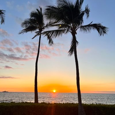 Tamidholloway's profile picture. 