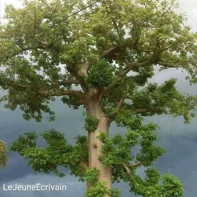 SikamDecha78874's profile picture. 