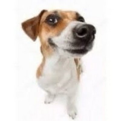 upoop27's profile picture. 