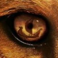 Adam (@adde7812) 's Twitter Profile