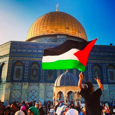 SharfToron29620's profile picture. "(Democracy is the best revenge)