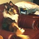 Rob Ervin - @s73nch - Twitter