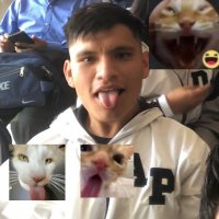 Pasiv069 (@crisuu31) 's Twitter Profile