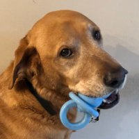 Marishay (@marishayone) 's Twitter Profile