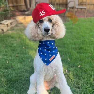 S18tx's profile picture. 🇺🇸