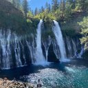 Alyssa Sanchez - @s58514814 - Twitter