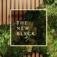 THE NEW BLXCK(@TheNewBlxck) 's Twitter Profile Photo