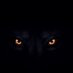 matteopnx (@matteopnx) Twitter profile photo matteopnx (@matteopnx) Twitter profile photo