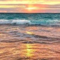 mac andcheese🎗 (@macandc80511539) 's Twitter Profile Photo mac andcheese🎗 (@macandc80511539) 's Twitter Profile Photo
