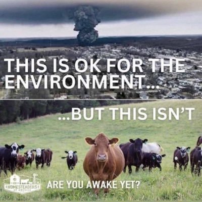 WeLnever's profile picture. "The task is not to see what has never been seen before, but to think what has never been thought before about what you see everyday."  -- Erwin Schrödinger