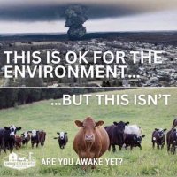 Unmask the Great Deceivers . Humanity is awake. (@welnever) 's Twitter Profile Photo