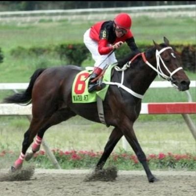 AMANTE DEL HIPISMO 🐎🇻🇪📲