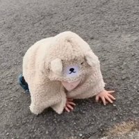 絶望ちゃん︎︎︎︎︎︎︎☺︎ 娘2y (@lh722f) 's Twitter Profile