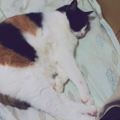 たくさんありがとう 大晦日楽しみです #SnowManOn