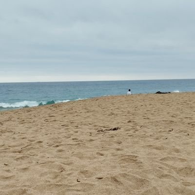 WCortes77613's profile picture. 