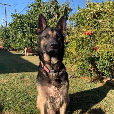 earthangle17's profile picture. 