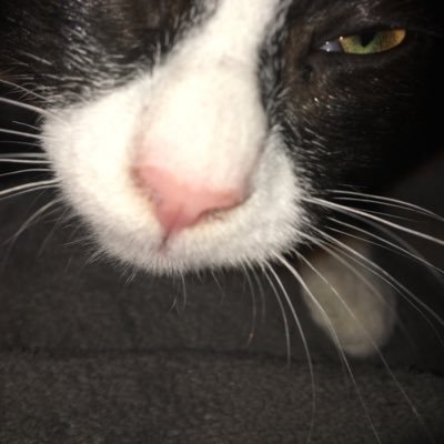 emomommies2's profile picture. 