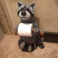 RaccoonThePestic (@raccoonrather) 's Twitter Profile Photo RaccoonThePestic (@raccoonrather) 's Twitter Profile Photo
