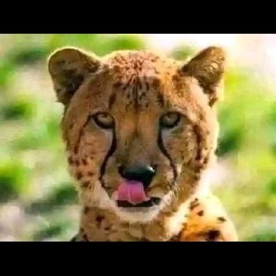 Get more signals on my Tg
https://t.co/MrIoBFtybY
RKF5GXXH