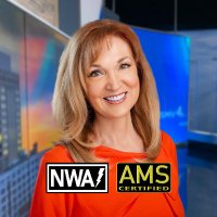 Lisa Spencer (@lisaspencerwsmv) Twitter profile photo