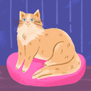 Stephanie Jauregui-Magana - @stephaniemag8 - Twitter