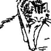 NetShumaIsBad's profile picture. What do you mean 20 is too old to shit talk kids on Roblox, 20 is still young!