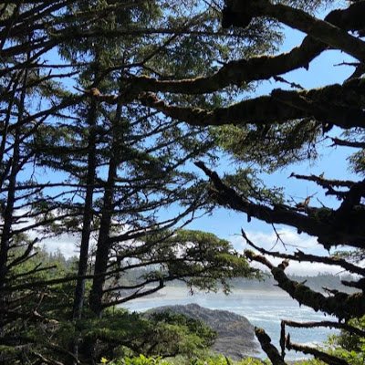 blair_lloy46849's profile picture. 