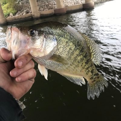 ChefboyrJD's profile picture. Just a Simple Man and Oklahoma State Cowboys Sports Fanatic