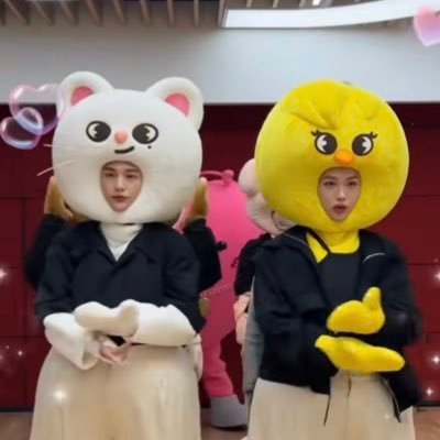Stray Kids/🔰大人STAY/🥟🐣寄りのオルペン/🐶🥟/人生の8割は適当なこと言ってる/話しかけたい人見知り