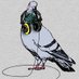 James 'Pigeon' Holden 🐦 (@jeholden86) Twitter profile photo