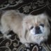Sherry White (@sherrywhit85670) Twitter profile photo Sherry White (@sherrywhit85670) Twitter profile photo