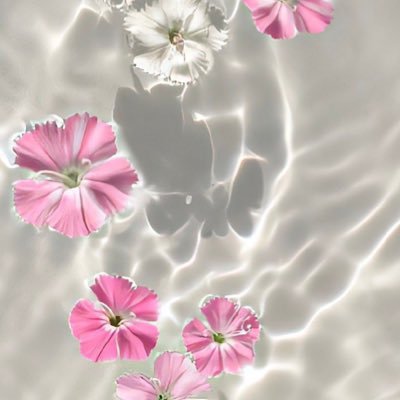 StarTarts_0's profile picture. 