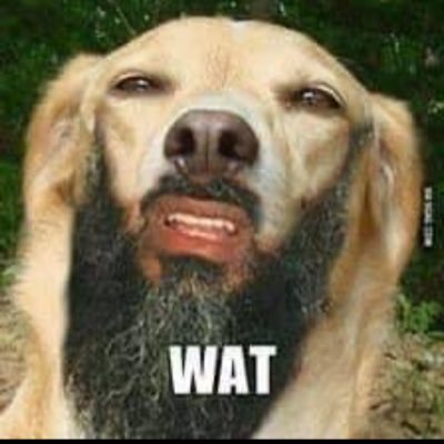 mohameds20044's profile picture. 