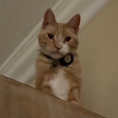 delgado_ayme's profile picture. 