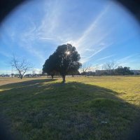 Tia Mitchell (@tiamitchell34) 's Twitter Profile