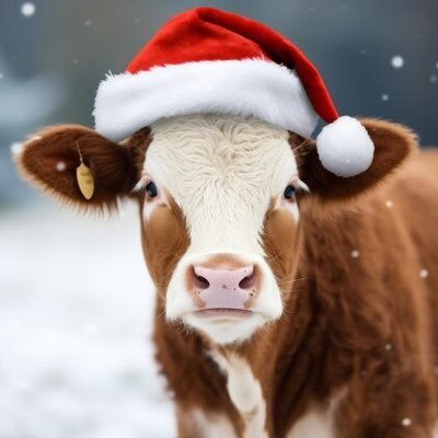 tiinarda's profile picture. 