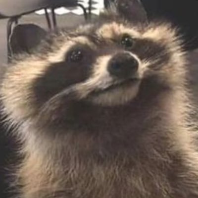 Seagull_567's profile picture. 