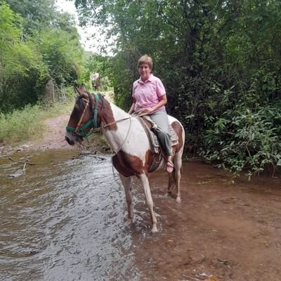 Amo el campo. El NOA y todo el país. 🌿🐴🚜🐮 Acerco info que sirva... 
Estoy desde Marzo 2023 🌻