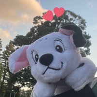 はくな (@hakuna_0429) Twitter profile photo