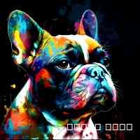 dubeyyavyan24's profile picture. Revolutionizing the art sphere with the power of nfts