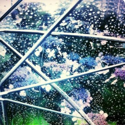 睦月さんのプロフィール画像